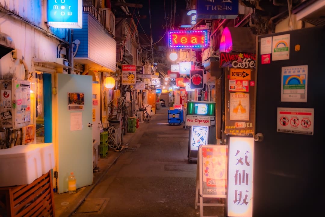 联合国大会通过加强与上合组织合作的决议
